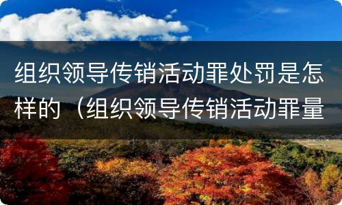 组织领导传销活动罪处罚是怎样的（组织领导传销活动罪量刑情节）