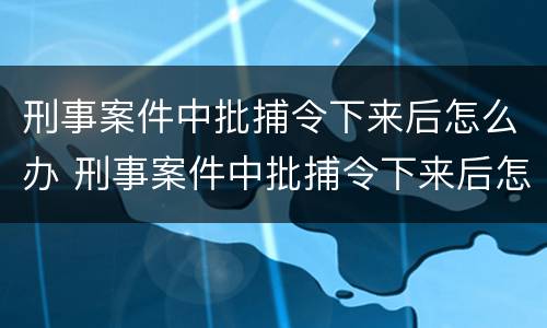 刑事案件中批捕令下来后怎么办 刑事案件中批捕令下来后怎么办呢