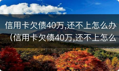 信用卡欠债40万,还不上怎么办（信用卡欠债40万,还不上怎么办呀）