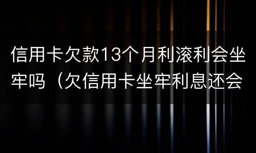 信用卡欠款13个月利滚利会坐牢吗（欠信用卡坐牢利息还会涨吗）