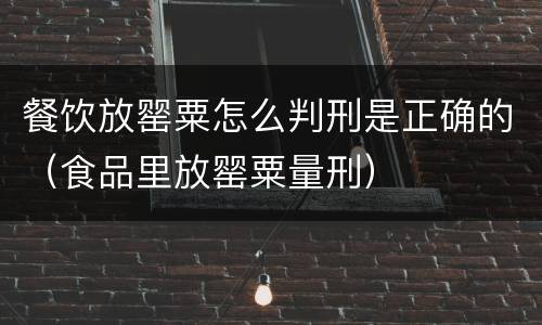 餐饮放罂粟怎么判刑是正确的（食品里放罂粟量刑）