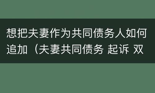 想把夫妻作为共同债务人如何追加（夫妻共同债务 起诉 双方 追加）