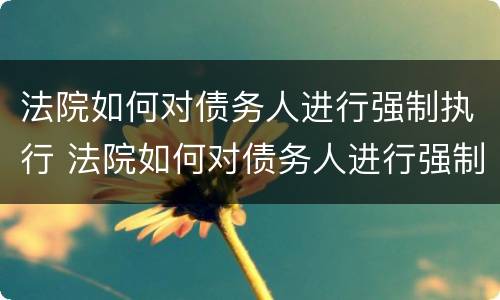 法院如何对债务人进行强制执行 法院如何对债务人进行强制执行程序