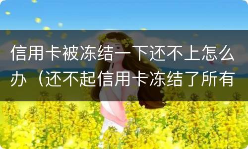 信用卡被冻结一下还不上怎么办（还不起信用卡冻结了所有卡怎么办）