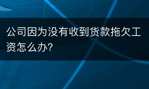 公司因为没有收到货款拖欠工资怎么办？