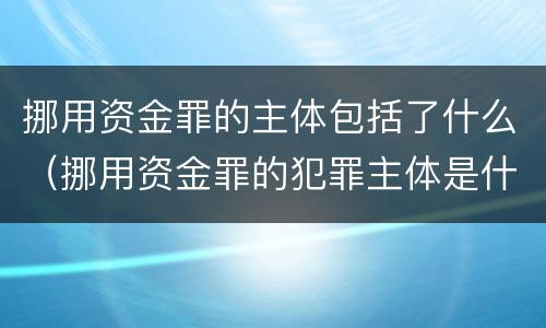 挪用资金罪的主体包括了什么（挪用资金罪的犯罪主体是什么）