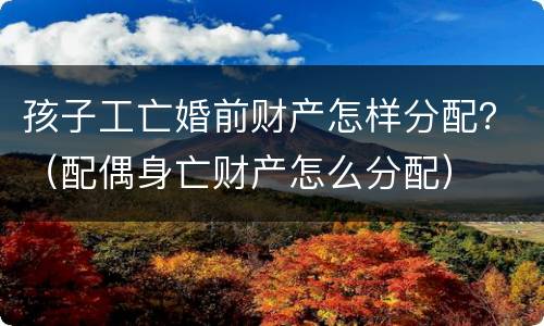 孩子工亡婚前财产怎样分配？（配偶身亡财产怎么分配）