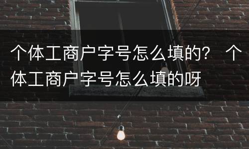 个体工商户字号怎么填的？ 个体工商户字号怎么填的呀
