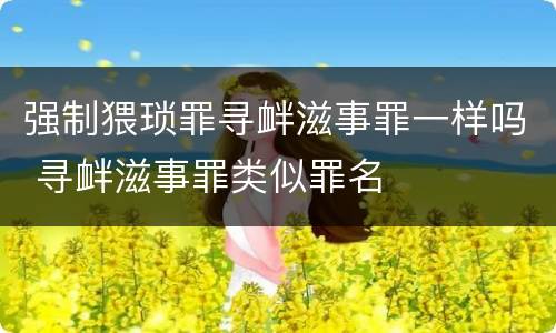 强制猥琐罪寻衅滋事罪一样吗 寻衅滋事罪类似罪名