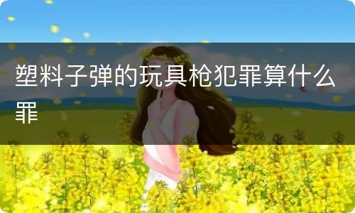 塑料子弹的玩具枪犯罪算什么罪