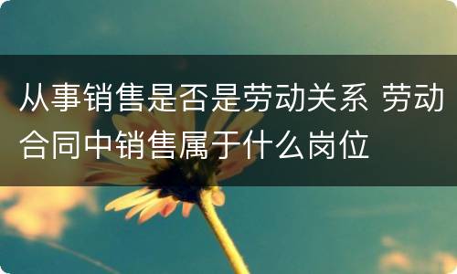 从事销售是否是劳动关系 劳动合同中销售属于什么岗位