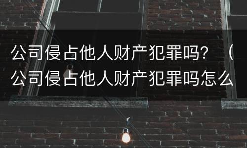 公司侵占他人财产犯罪吗？（公司侵占他人财产犯罪吗怎么处理）