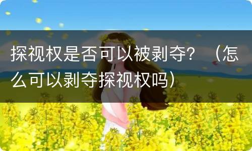 探视权是否可以被剥夺？（怎么可以剥夺探视权吗）