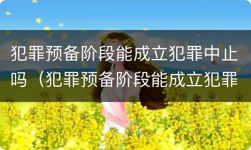 犯罪预备阶段能成立犯罪中止吗（犯罪预备阶段能成立犯罪中止吗）