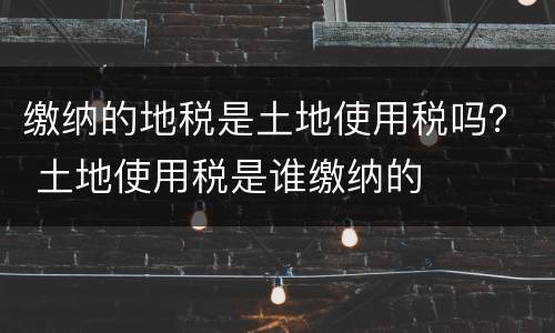 缴纳的地税是土地使用税吗？ 土地使用税是谁缴纳的