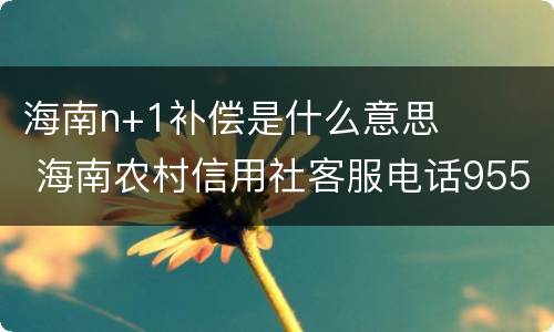 海南n+1补偿是什么意思 海南农村信用社客服电话95533