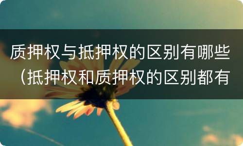 质押权与抵押权的区别有哪些（抵押权和质押权的区别都有哪些?）