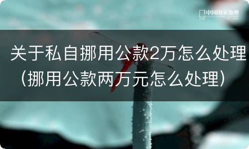 关于私自挪用公款2万怎么处理（挪用公款两万元怎么处理）
