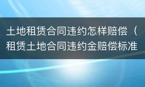 土地租赁合同违约怎样赔偿（租赁土地合同违约金赔偿标准）