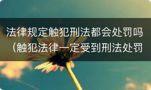 法律规定触犯刑法都会处罚吗（触犯法律一定受到刑法处罚吗）
