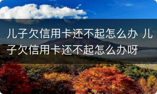 儿子欠信用卡还不起怎么办 儿子欠信用卡还不起怎么办呀