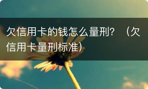 欠信用卡的钱怎么量刑？（欠信用卡量刑标准）