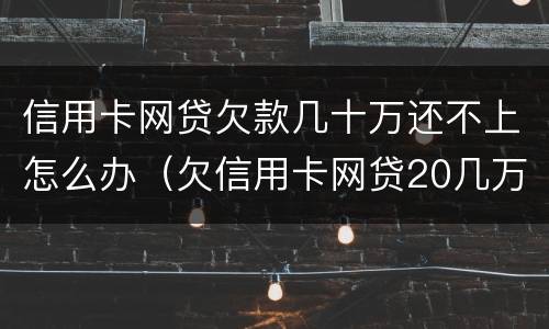 信用卡网贷欠款几十万还不上怎么办（欠信用卡网贷20几万无力偿还怎么办?）