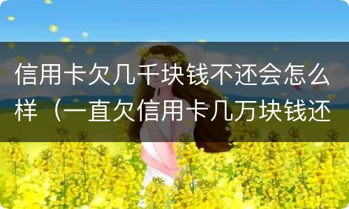 信用卡欠几千块钱不还会怎么样（一直欠信用卡几万块钱还不上怎么办）