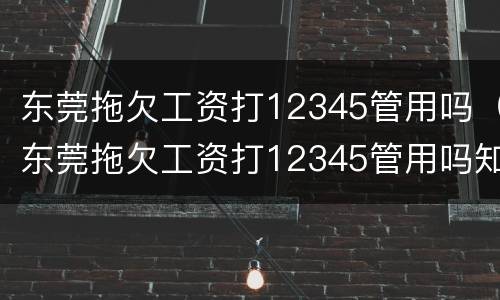 东莞拖欠工资打12345管用吗（东莞拖欠工资打12345管用吗知乎）