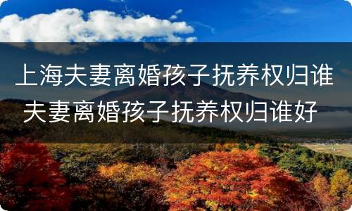 上海夫妻离婚孩子抚养权归谁 夫妻离婚孩子抚养权归谁好