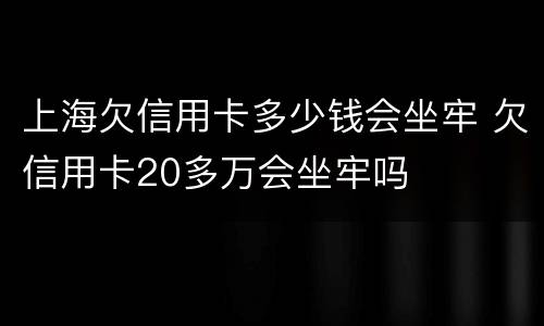 上海欠信用卡多少钱会坐牢 欠信用卡20多万会坐牢吗