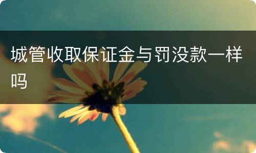 城管收取保证金与罚没款一样吗
