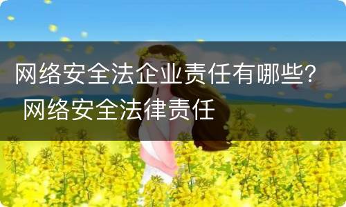 网络安全法企业责任有哪些？ 网络安全法律责任