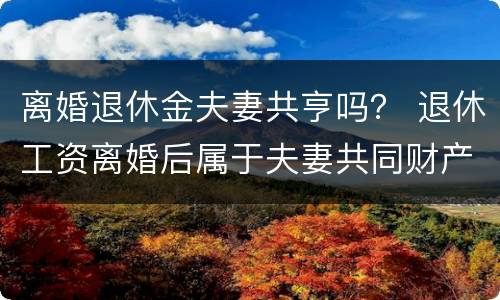 离婚退休金夫妻共亨吗？ 退休工资离婚后属于夫妻共同财产吗