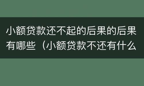 小额贷款还不起的后果的后果有哪些（小额贷款不还有什么后果）