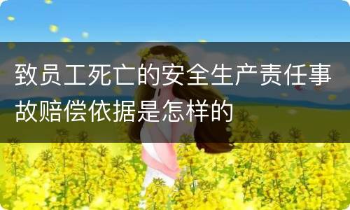 致员工死亡的安全生产责任事故赔偿依据是怎样的