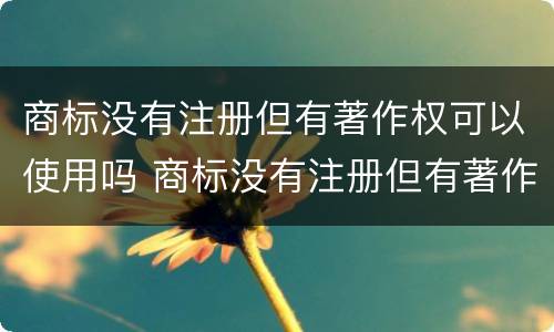 商标没有注册但有著作权可以使用吗 商标没有注册但有著作权可以使用吗