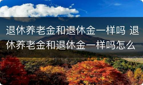 退休养老金和退休金一样吗 退休养老金和退休金一样吗怎么查