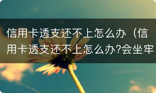 信用卡透支还不上怎么办（信用卡透支还不上怎么办?会坐牢吗?）