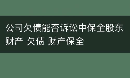 公司欠债能否诉讼中保全股东财产 欠债 财产保全