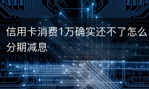 信用卡消费1万确实还不了怎么分期减息