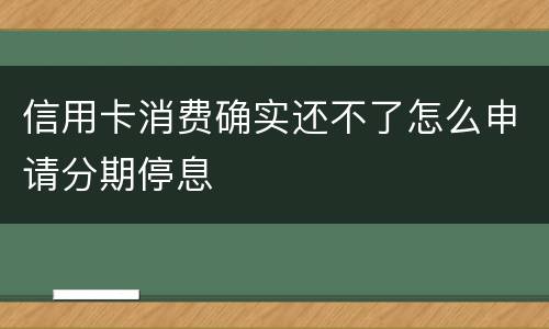 信用卡消费确实还不了怎么申请分期停息