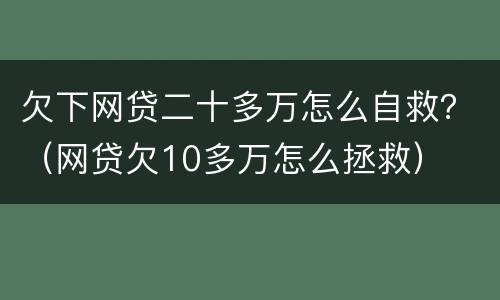 欠下网贷二十多万怎么自救？（网贷欠10多万怎么拯救）