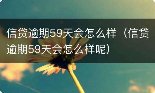 信贷逾期59天会怎么样（信贷逾期59天会怎么样呢）