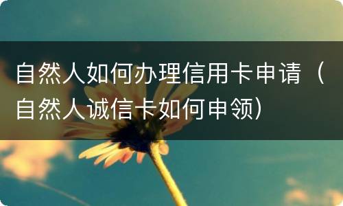 自然人如何办理信用卡申请（自然人诚信卡如何申领）