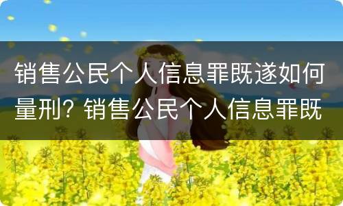 销售公民个人信息罪既遂如何量刑? 销售公民个人信息罪既遂如何量刑标准