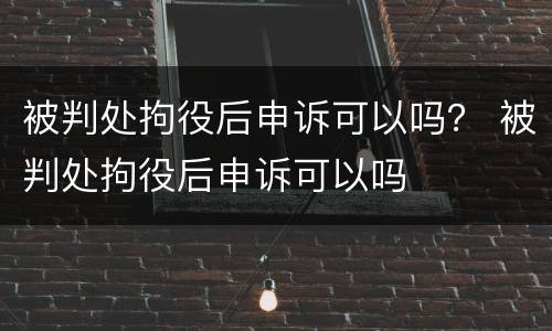 被判处拘役后申诉可以吗？ 被判处拘役后申诉可以吗