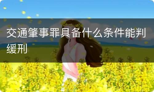 交通肇事罪具备什么条件能判缓刑