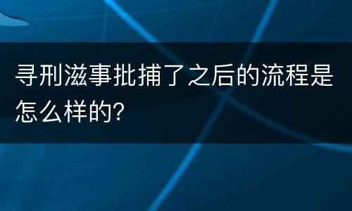 寻刑滋事批捕了之后的流程是怎么样的？
