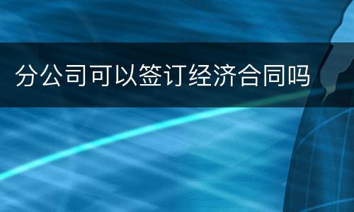 分公司可以签订经济合同吗